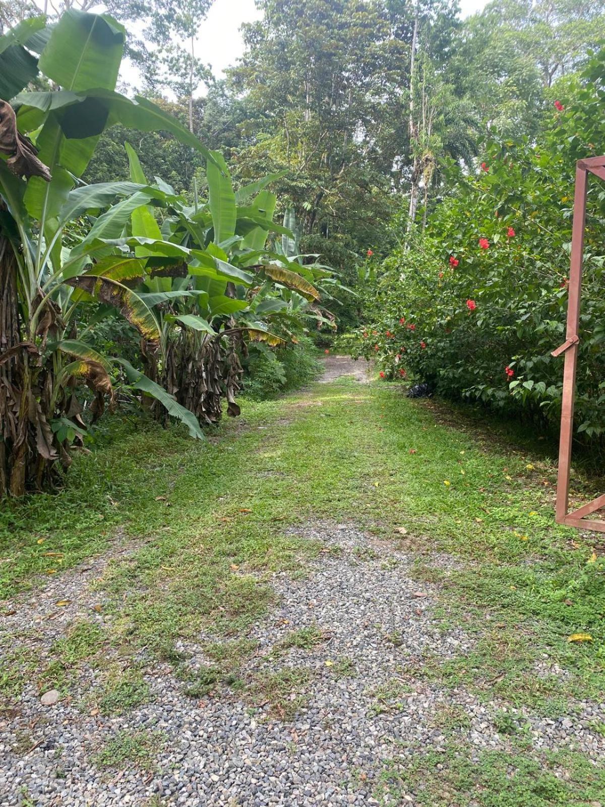 Caribbean Retreats Villa Cocles Dış mekan fotoğraf
