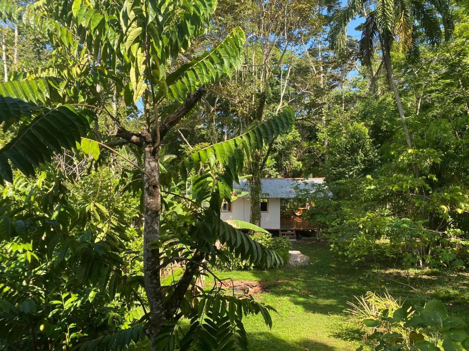 Caribbean Retreats Villa Cocles Dış mekan fotoğraf