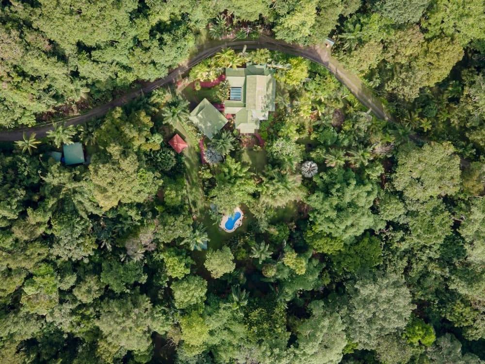 Caribbean Retreats Villa Cocles Dış mekan fotoğraf